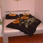 Konukevi Ole 2*